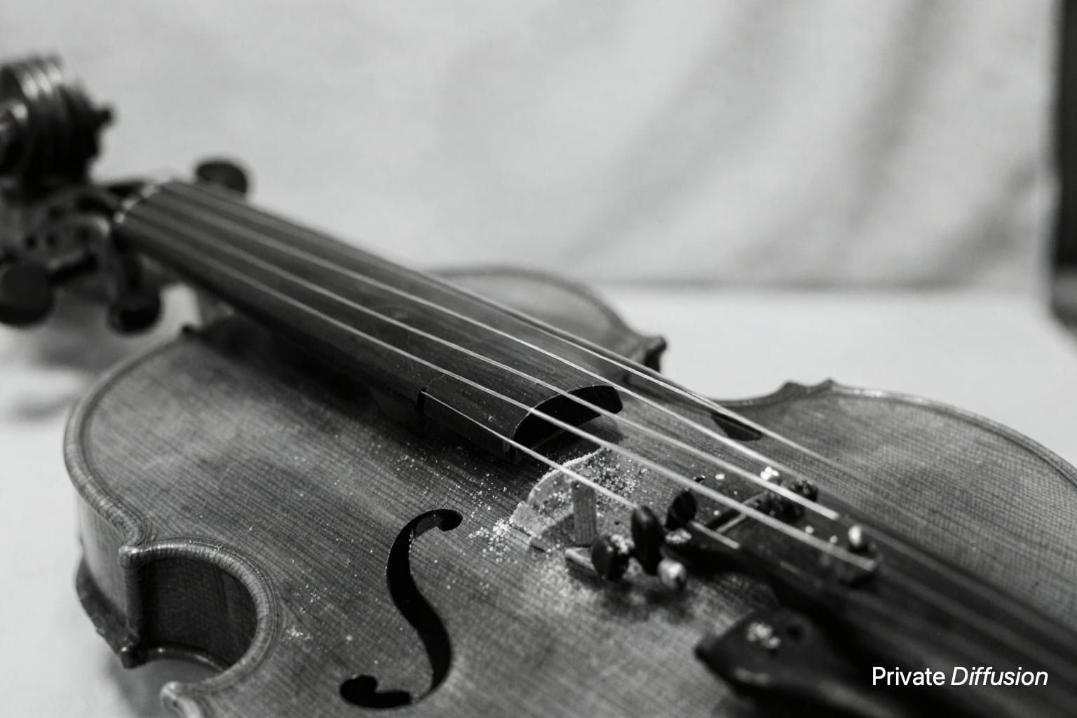 A black-and-white macro view shows violin strings leading toward the bridge.